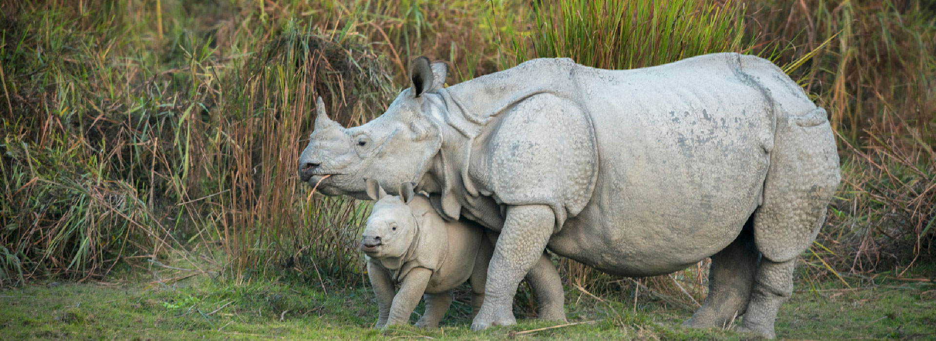 Assam